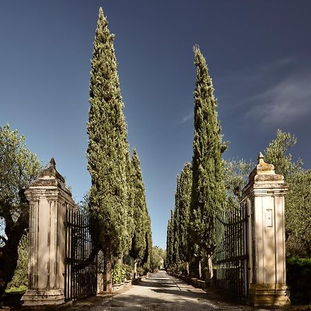 Almeira 4Acre Estate, For Unparalleled Seclusion, By Thinkvilla Zakynthos Buitenkant foto
